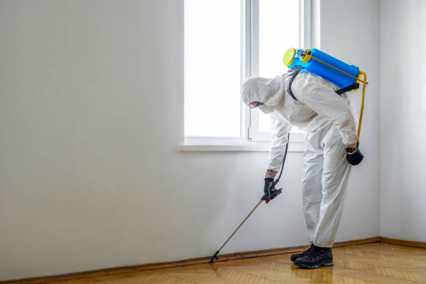 Flea Control Services in Butler, NJ