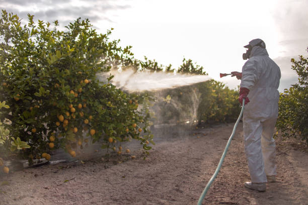 Best Affordable Pest Control Services  in Butler, NJ