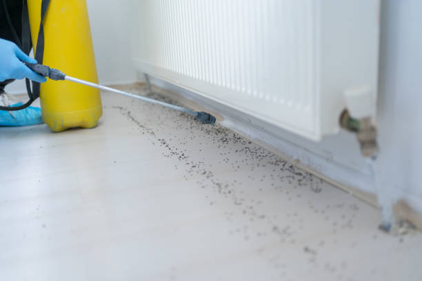 Best Cockroach Control Services  in Butler, NJ