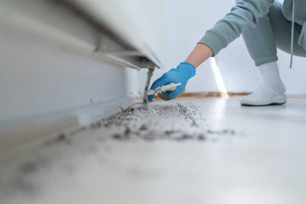 Best Spider Control Near Me  in Butler, NJ